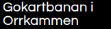 Orrkammens Gokart logo